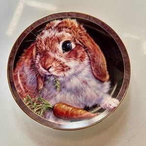 Bunny Tales "Carrot Top" Collector's Plate by Bradford Exchange